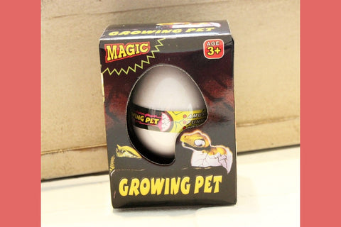 Great Stocking Stuffer Magic Growing Pets-2 Girls 1 Shop 